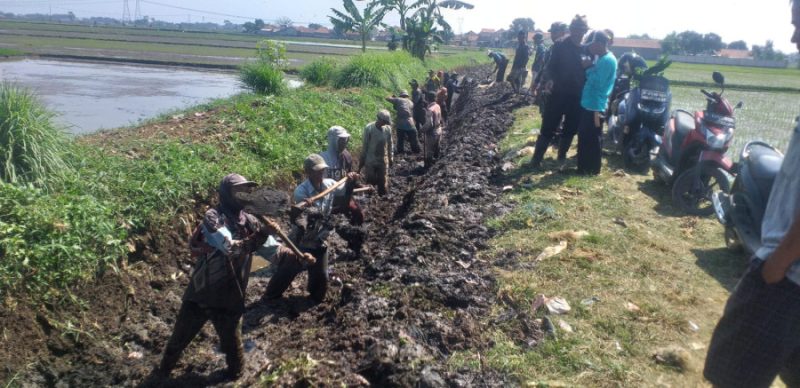 Apresiasi Kegiatan Aksi Gotong Royong Para Petani Mitra Cai, Kang DS: Kita ke Lapangan Ngomean Solokan Sasarengan